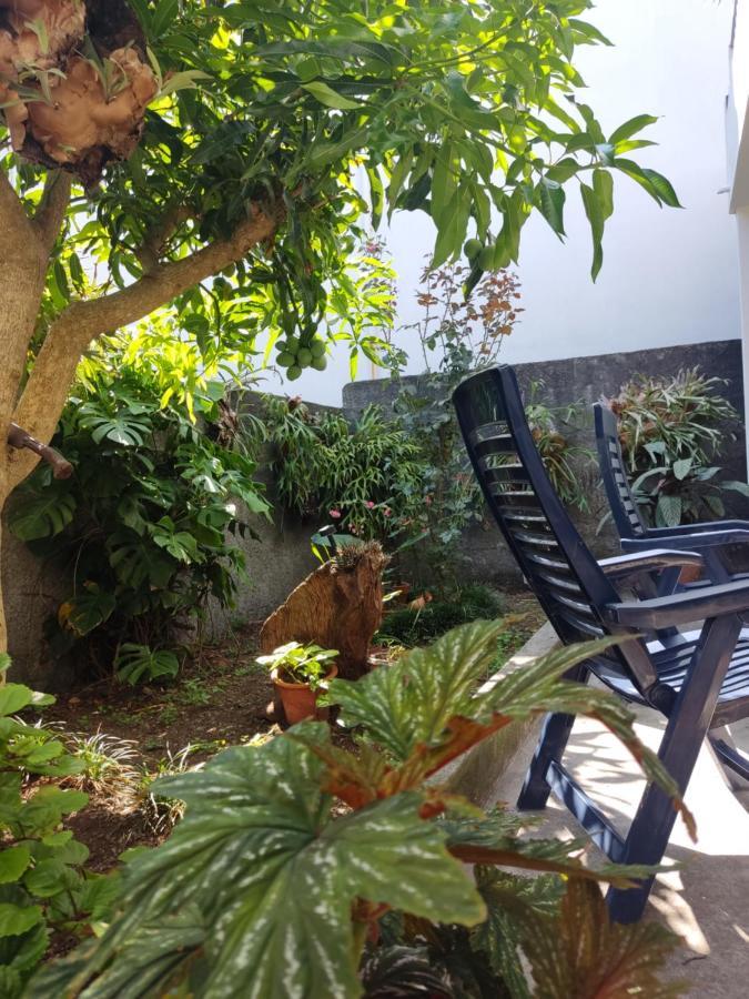 Casa Da Avo Rosa Daire São Vicente Dış mekan fotoğraf