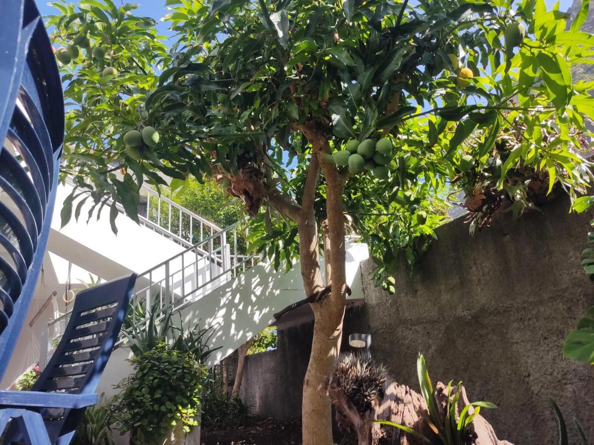 Casa Da Avo Rosa Daire São Vicente Dış mekan fotoğraf