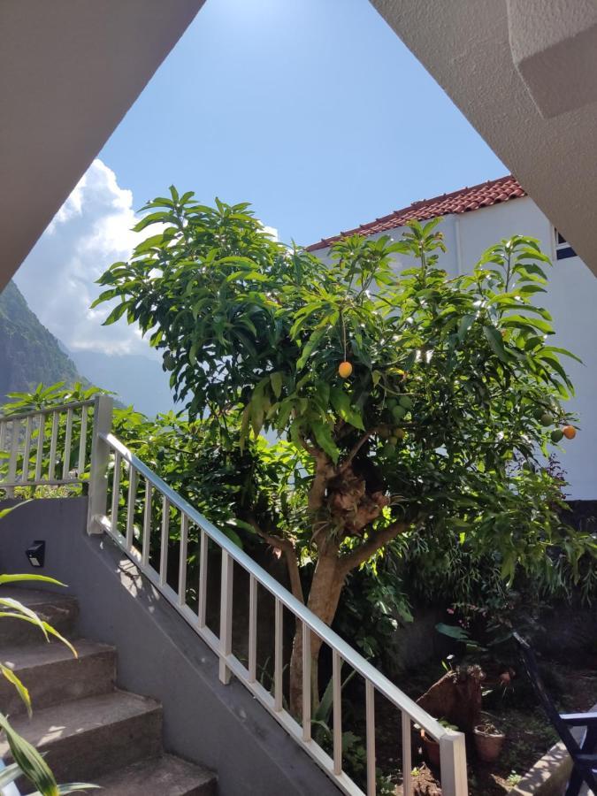 Casa Da Avo Rosa Daire São Vicente Dış mekan fotoğraf