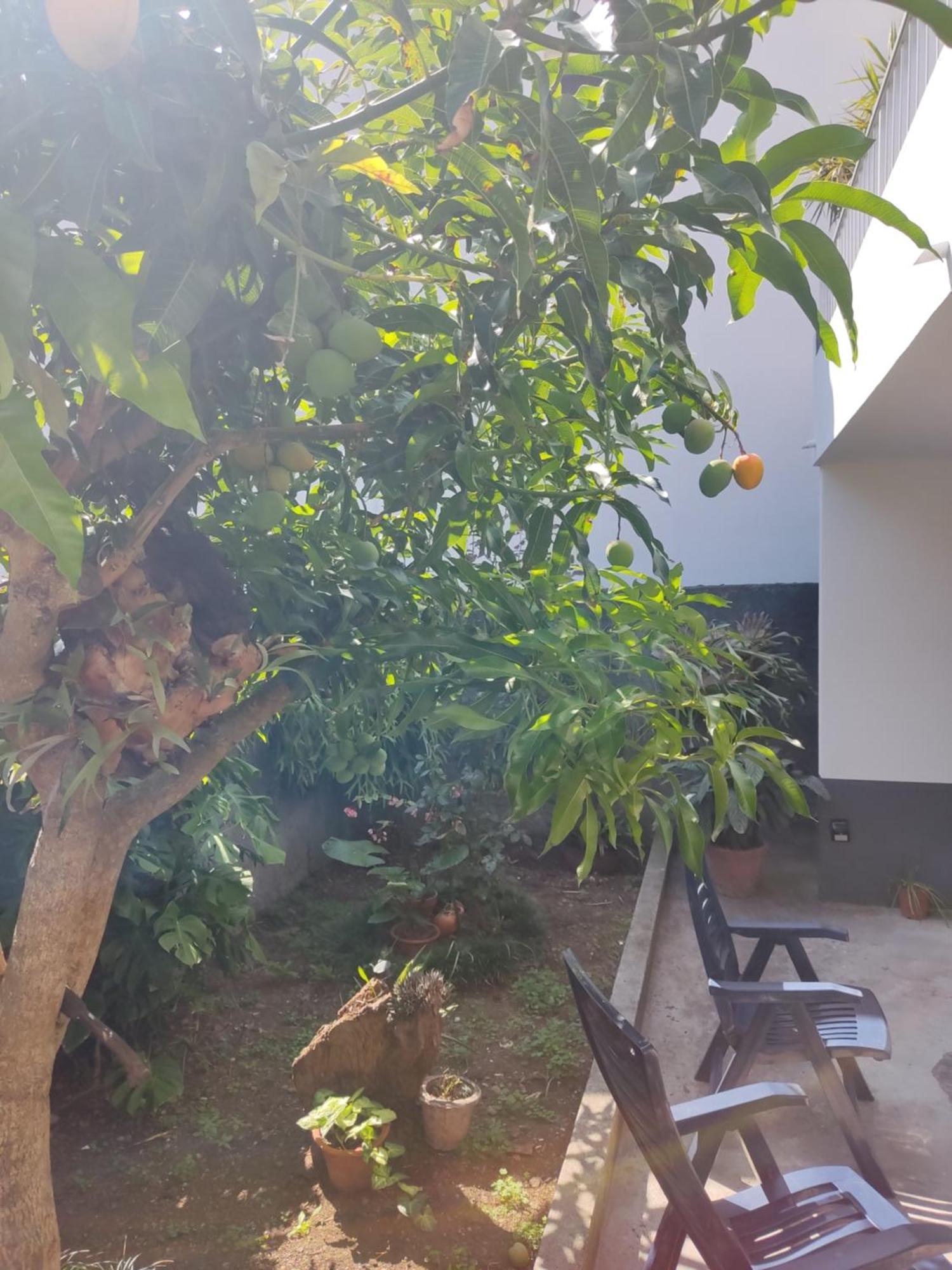 Casa Da Avo Rosa Daire São Vicente Dış mekan fotoğraf